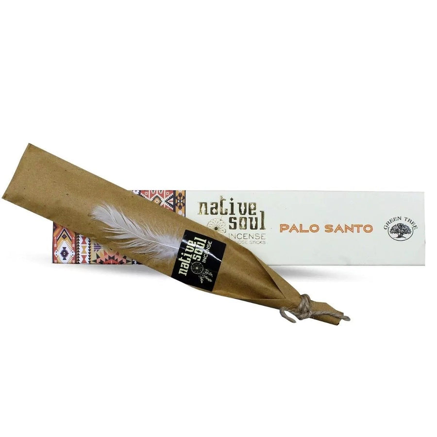 Native Soul Incense Sticks 15g Palo Santo | Carpe Diem With Remi