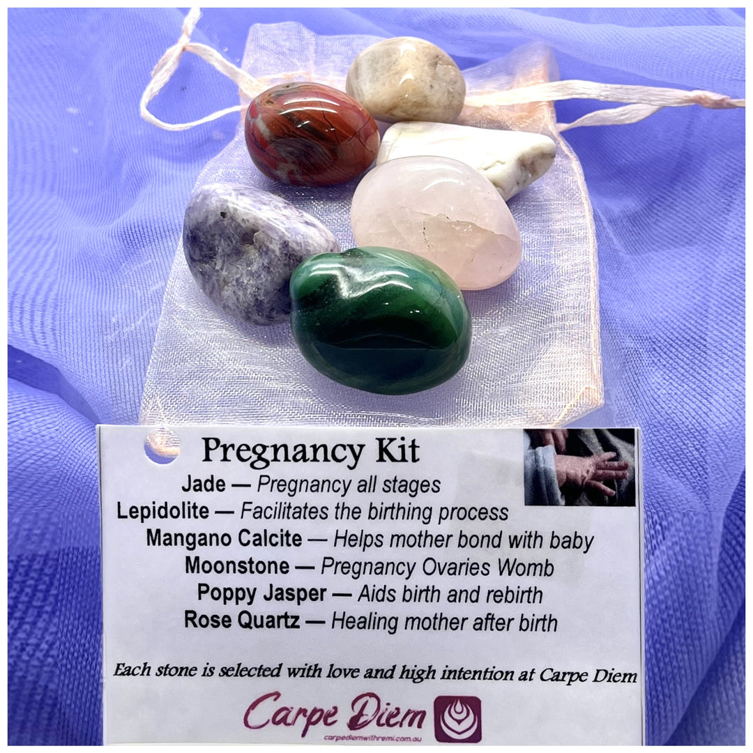 Pregnancy Kit | Carpe Diem With Remi