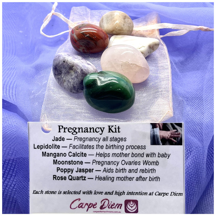 Pregnancy Kit | Carpe Diem With Remi