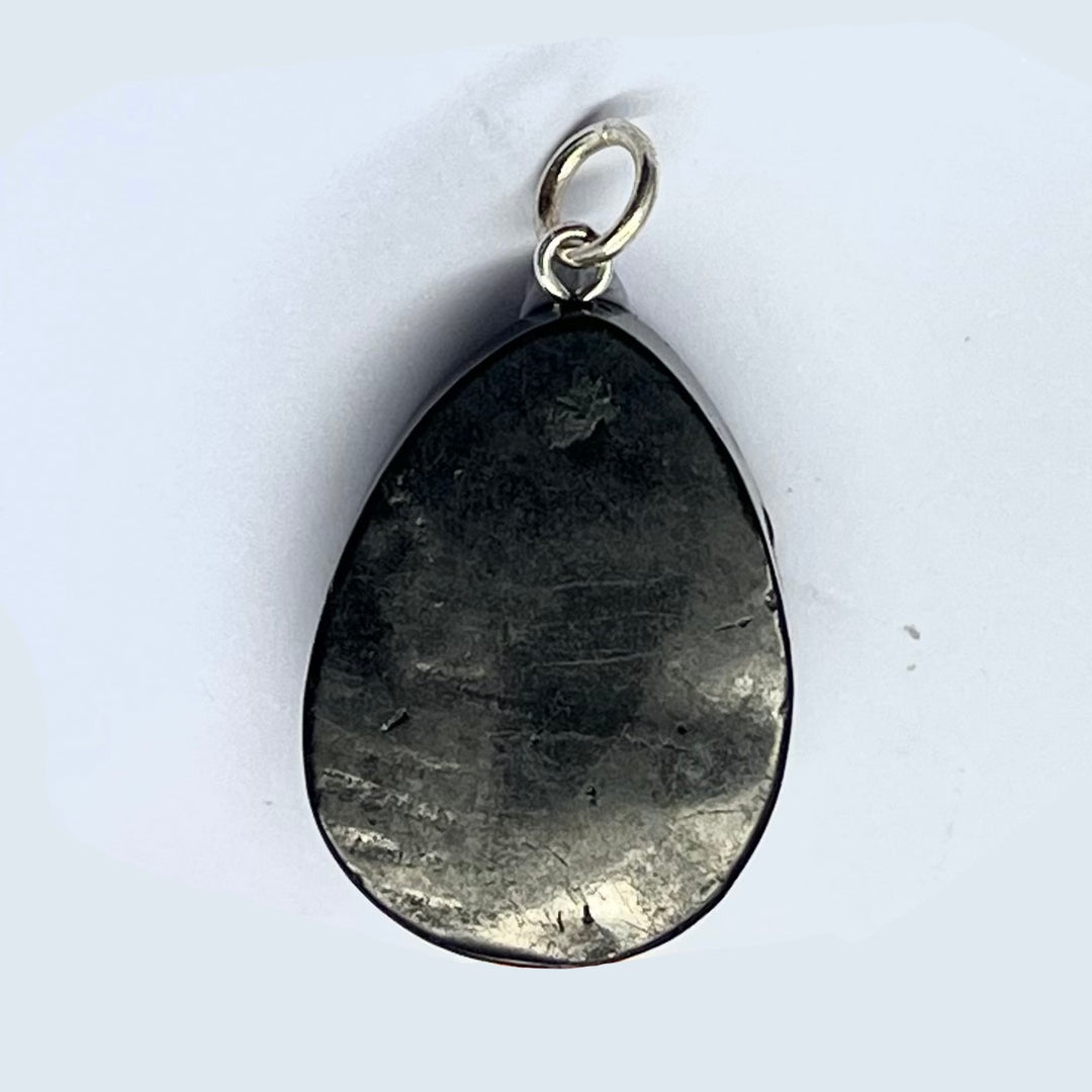 Pendant Shungite Energy Protectors Teardrop | Carpe Diem With Remi