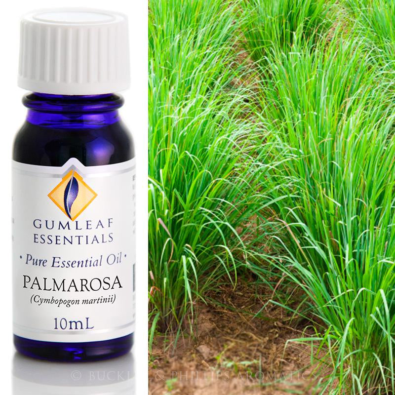 Palmarosa Essential Oil 10ml Gumleaf | Carpe Diem With Remi