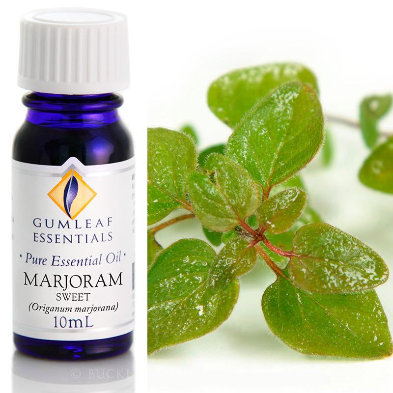 Marjoram Sweet Essential Oil Gumleaf 10 ml | Carpe Diem With Remi