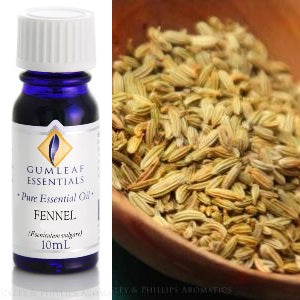 Fennel Essential Oil 10 ml | Carpe Diem with Remi